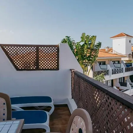 Pool View In Albatros Park *